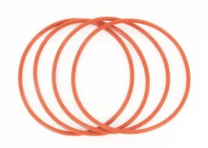 SKF O-Ring 488094 