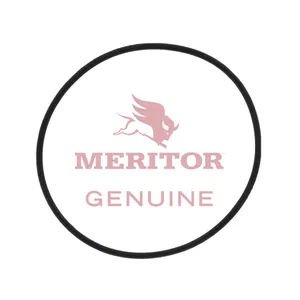 Meritor O-Ring 219582 