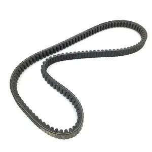 Dayco Belt 344910 