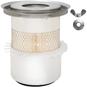 Baldwin AIR FILER 376962 