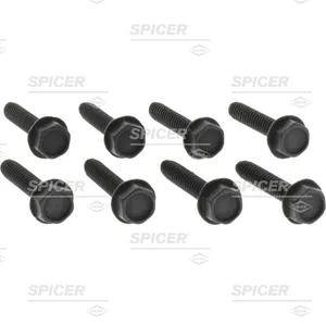 Spicer HEX SCREW LOCK 555832 