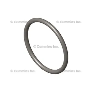 Cummins Seal 305510 