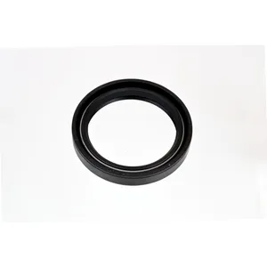 SKF Seal 491244 
