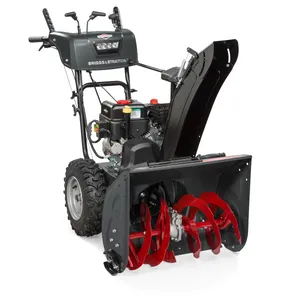 Briggs & Stratton BRIGGS 24  24 1216870 