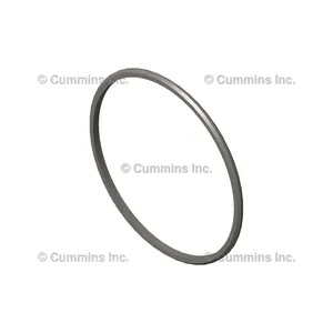 Cummins Seal 1208064 