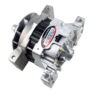Delco Remy ALTERNATO 312478 