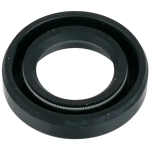 SKF Seal 494484 