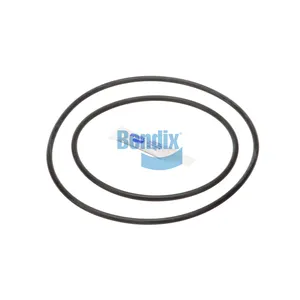 Bendix ORING KIT AD-IP 359212 
