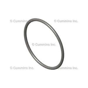 Cummins Seal 344874 