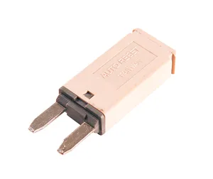 Grote Circuit Breaker 280502 