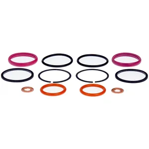 Dorman O RING KIT 551980 