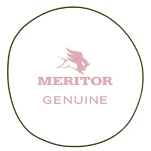 Meritor O'Ring 738186 