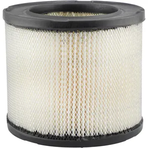 Baldwin AIR FILTER 1374806 