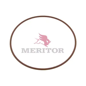 Meritor PUMP CVR O 314530 
