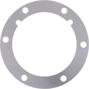 Spicer SHIM .010 314830 