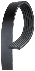 Gates Belt - Multigroove, Serpentine 223546 