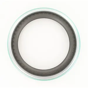 SKF Seal 323100 