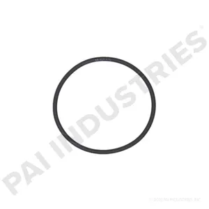 PAI O-RING 623268 