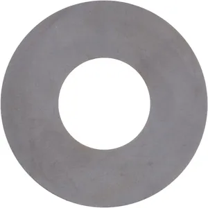 Spicer OIL SLINGER 520846 
