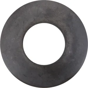 Spicer Differential Side Gear Thrust Washer 220656 