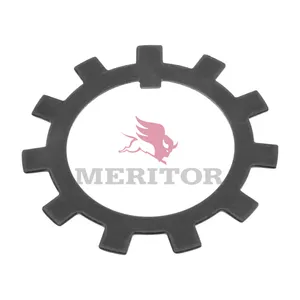 Meritor Tab Lock 312064 