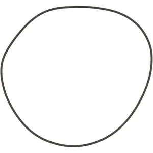 Spicer O RING 513596 