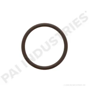 PAI O-RING 623294 