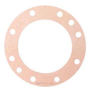 PAI Gasket 256370 