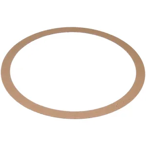 Dorman DPF Gasket 549476 