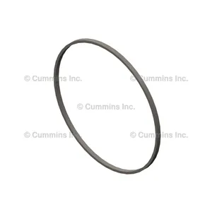 Cummins Ring 1201522 