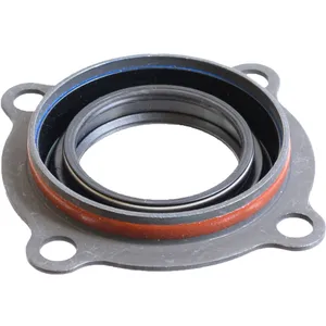 SKF Seal 494620 
