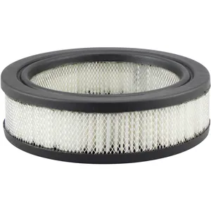 Baldwin AIR FILTER 1148174 