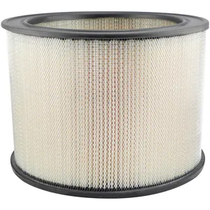Baldwin Air Element 218686 