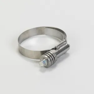 Donaldson CLAMP CONSTANT 325358 