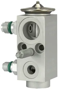 TruckAir Expansion Valve 219736 