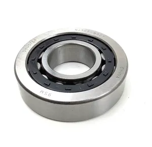 Tremec BEARING ROLLER 251080 