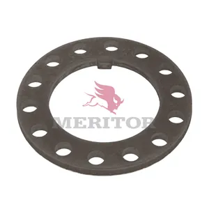 Meritor Lock Washer 770608 