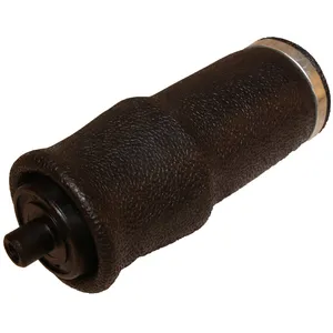 Armada Air Suspension Spring 275316 