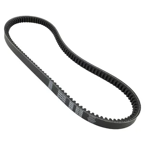Dayco Accessory Drive Belt 296178 