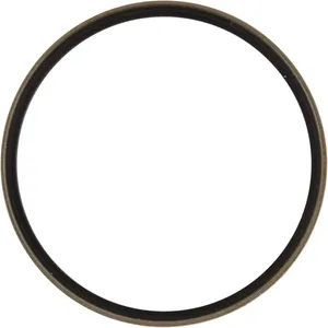 Spicer SEAL-OIL 550882 