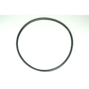Spicer A PISTON SEAL 510496 