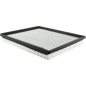 Baldwin Air Element 246068 