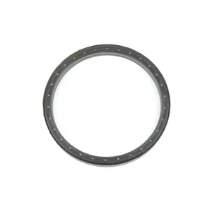 Spicer SEAL 516134 