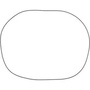 Spicer O-RING 540548 