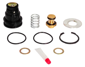 Armada Purge Valve Kit 234022 