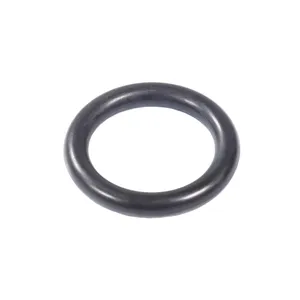 Holland O-RING,#319 601118 