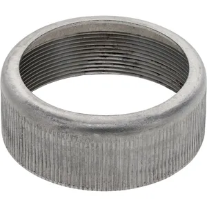 Spicer DUST CAP 811242 