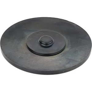 Spicer DIAPHRAGM SEAL 559498 