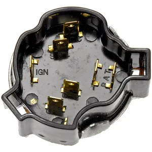Dorman IGN SWIT 548696 