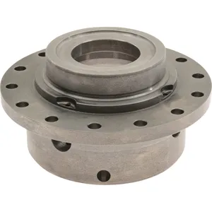 Spicer DIFFERENTIAL 529870 